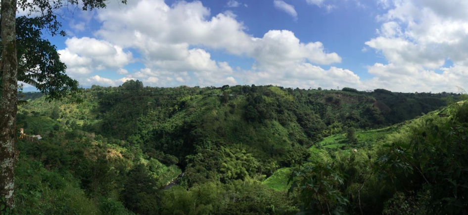 cali colombia