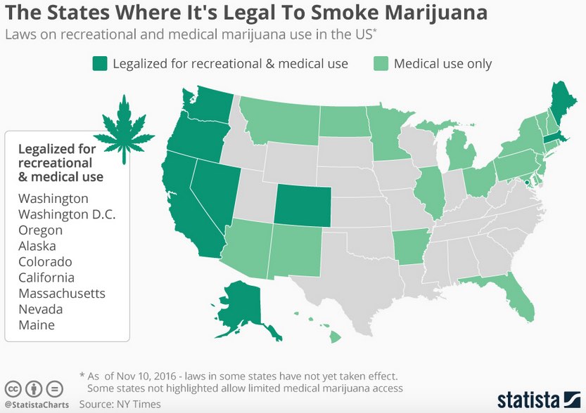 Cannabis Investing World