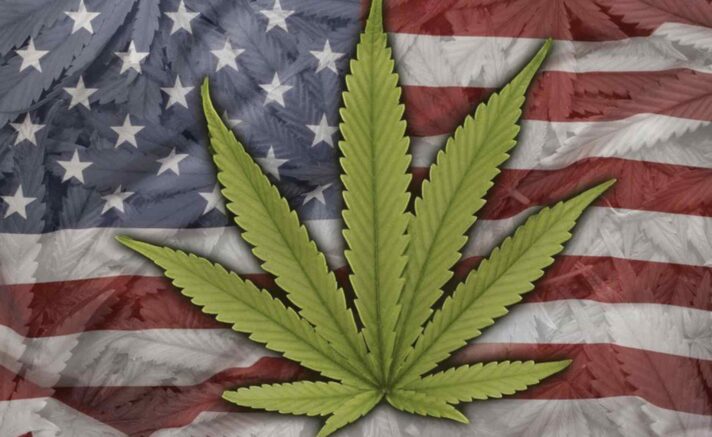 Cannabis Legalization in 2020