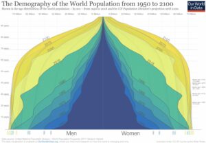 population pyramid - invest in longevity