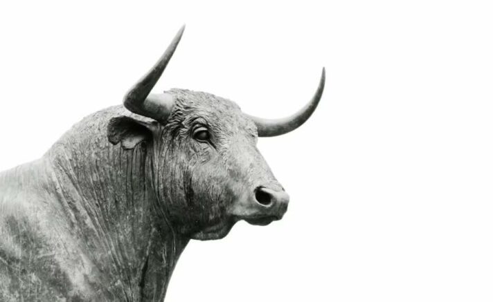 relative oil bull